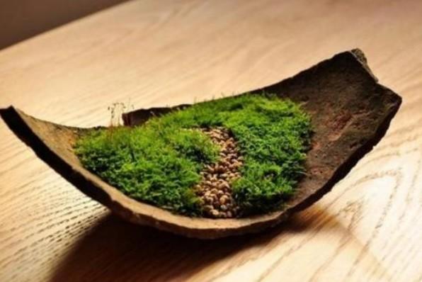 苔古诗的意思翻译