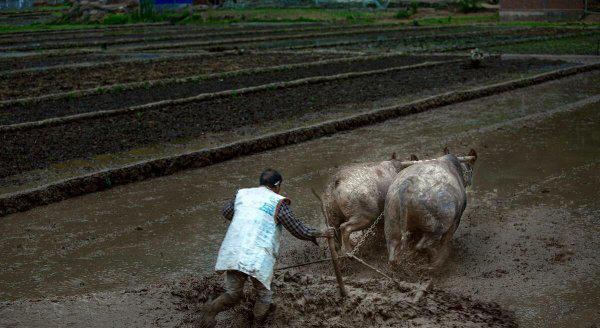 中国四大喜事是什么意思