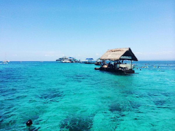 旅行结婚流程怎么安排