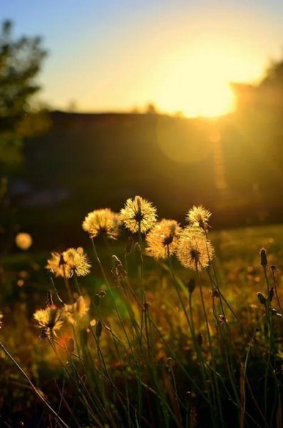 少年没有乌托邦的意思