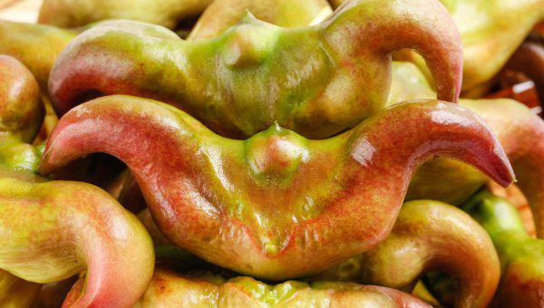 冬至的由来与传说