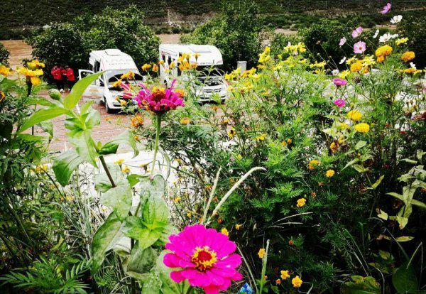 川藏线318自驾游路线图