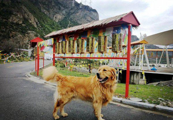 川藏线318自驾游路线图