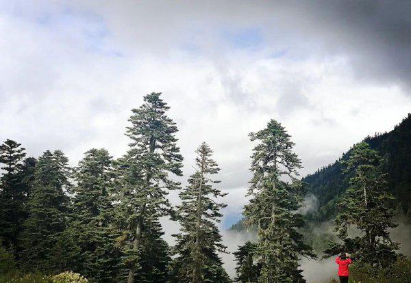 川藏线318自驾游路线图