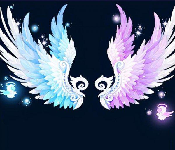 双子座命中注定的夫妻