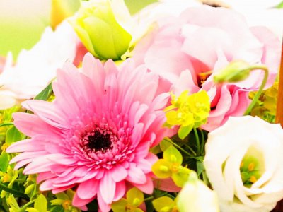 上帝给天秤座的8个天赋 天秤座在哪些方面有天生能力