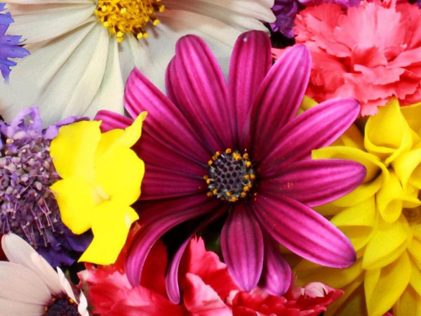 上帝给天秤座的8个天赋