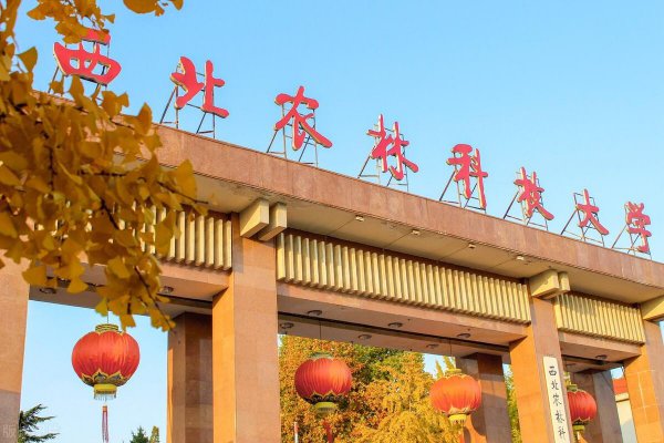 西北农林科技大学是985吗