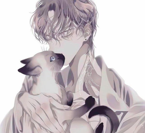 耳东兔子三分野讲什么内容