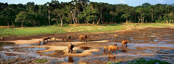 扎伊尔是哪个国家