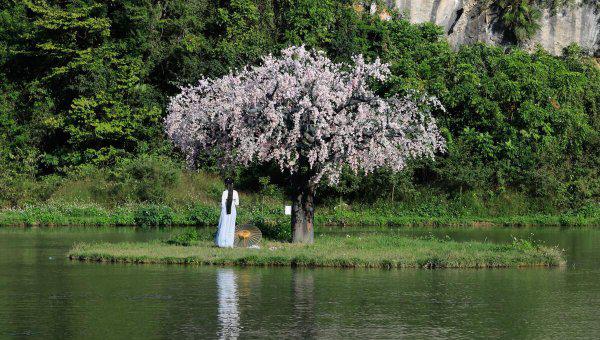 来宾有什么好玩的景点旅游