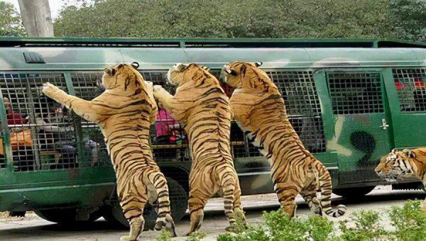 延庆旅游景点大全排名