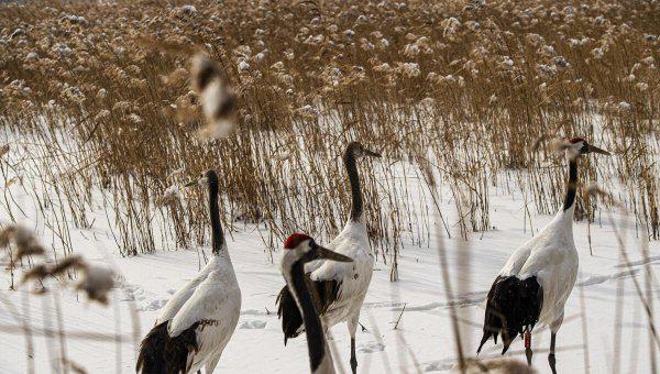 延庆旅游景点大全排名