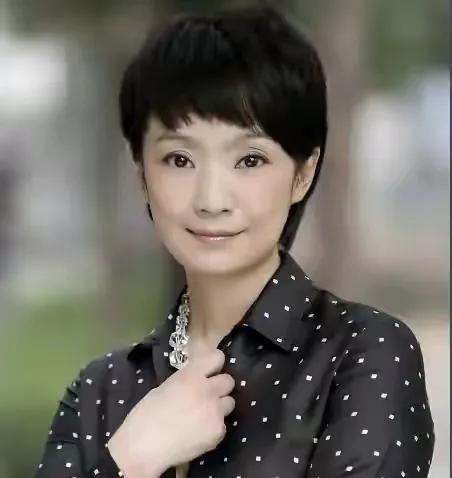 演员张嘉译的个人资料简介