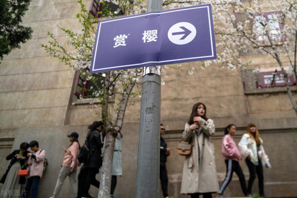 高考500分能上什么大学