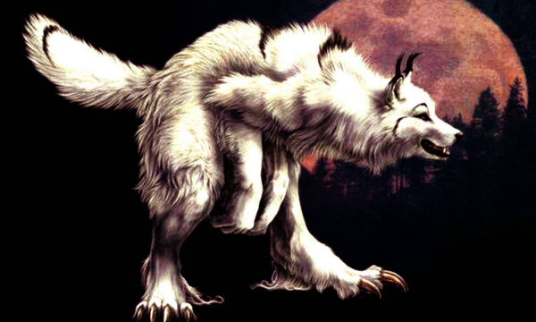 狈是狼和狐狸杂交的吗