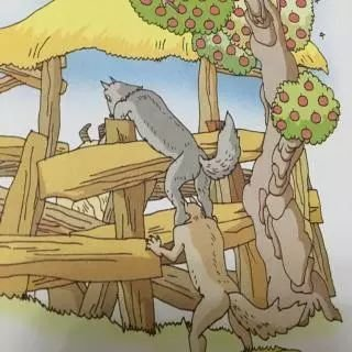 狈是狼和狐狸杂交的吗