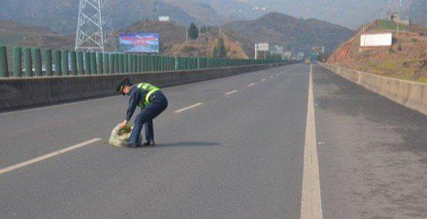 第一次上高速应该注意什么