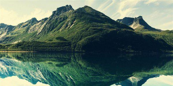 文章结构分为几种类型举例说明