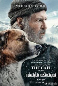 巴克是什么品种的狗 电影中狗狗巴克的故事是什么样的