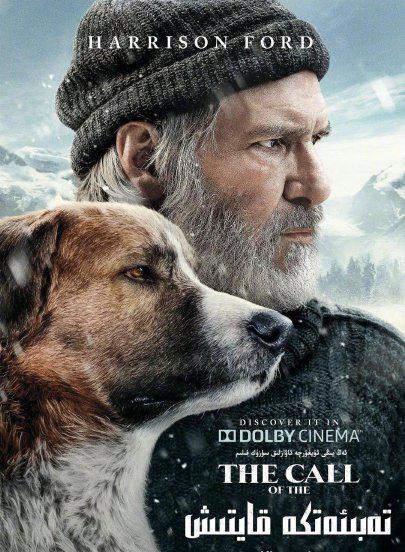 巴克是什么品种的狗