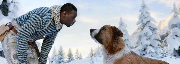 巴克是什么品种的狗