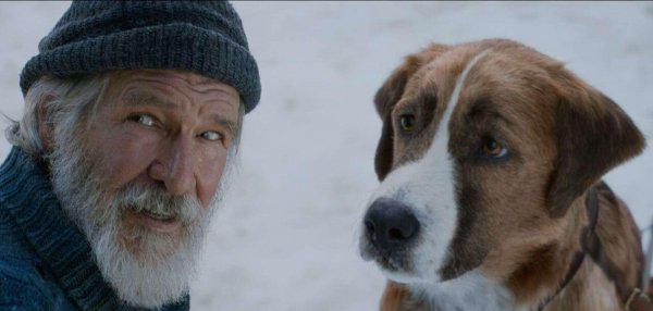 巴克是什么品种的狗