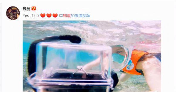 魏晨个人资料简介