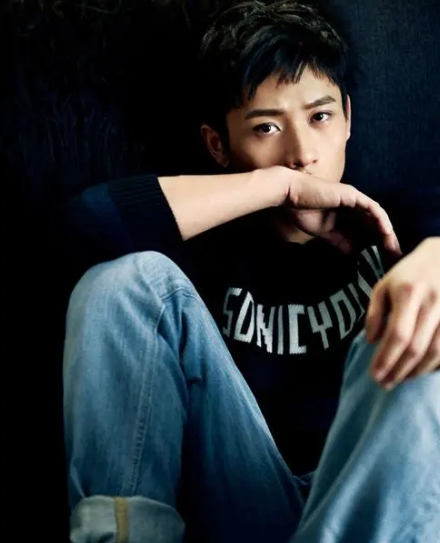 魏晨个人资料简介