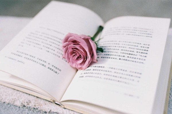 网上说的组cp是什么意思