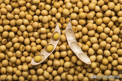 出油率的公式等于什么 各种油料作物的出油率大概是多少