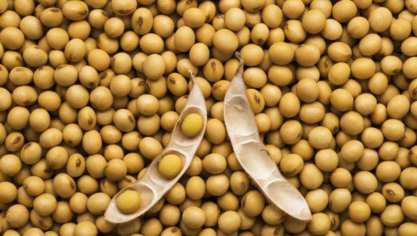 出油率的公式等于什么