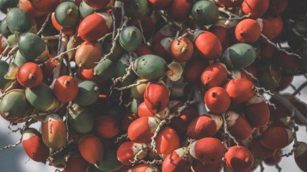 出油率的公式等于什么