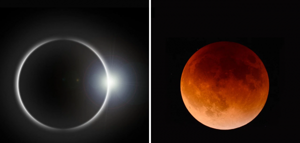 日环食的形成原理是什么