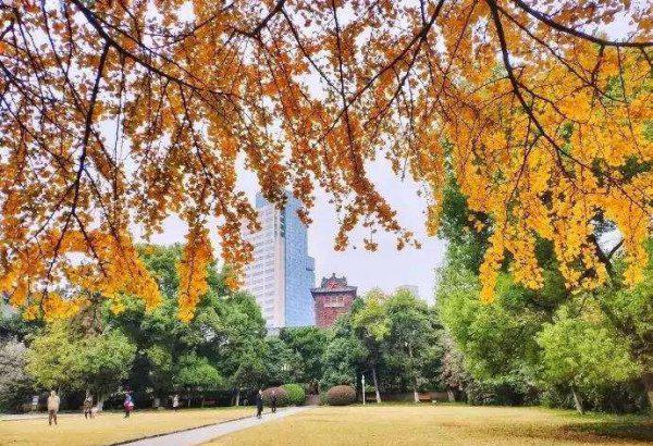 南开大学是211还是985学校