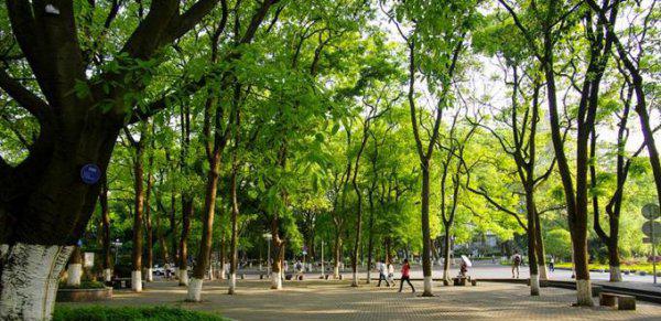 西南大学是985还是211高校