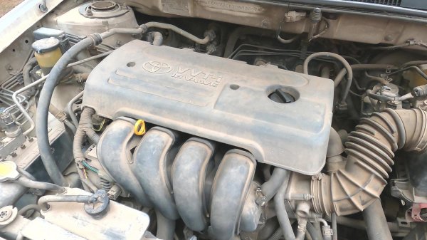 发动机舱清洗有必要吗