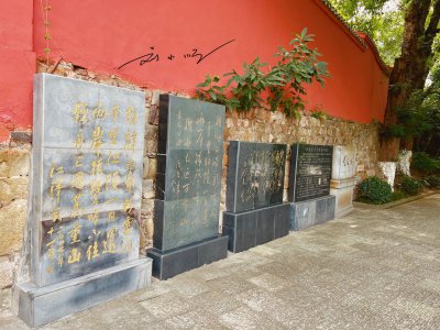 白帝城是现在的哪个城市 朝辞白帝彩云间的白帝城介绍