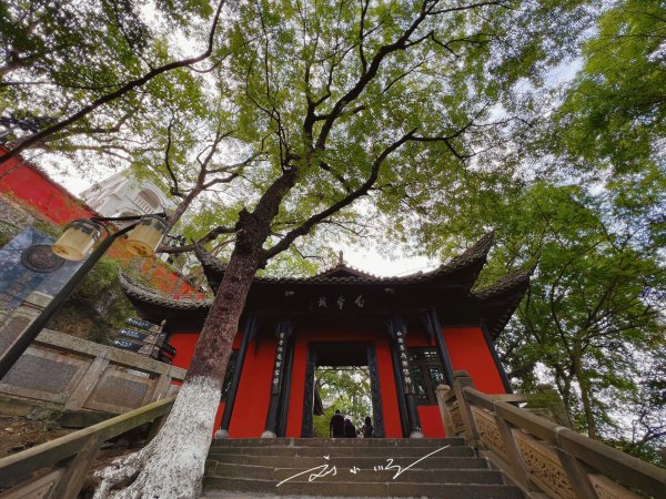 白帝城是现在的哪个城市