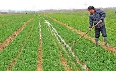 二十四节气惊蛰的意思