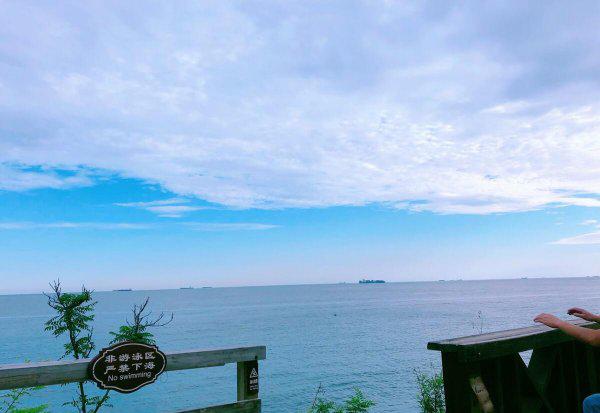 青岛哪些旅游景点免费