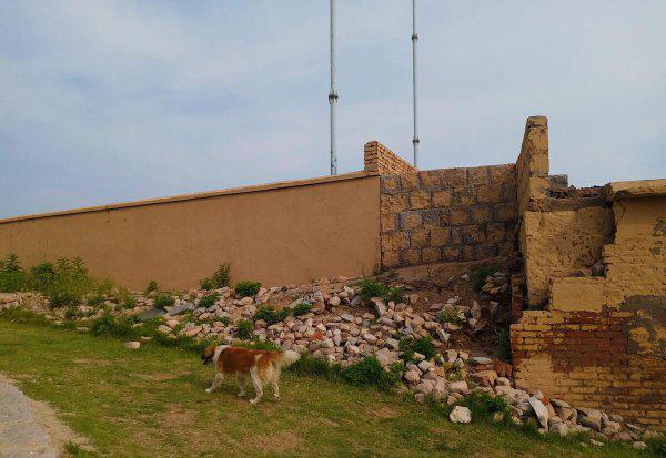 青岛哪些旅游景点免费