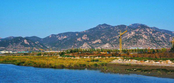 青岛哪些旅游景点免费