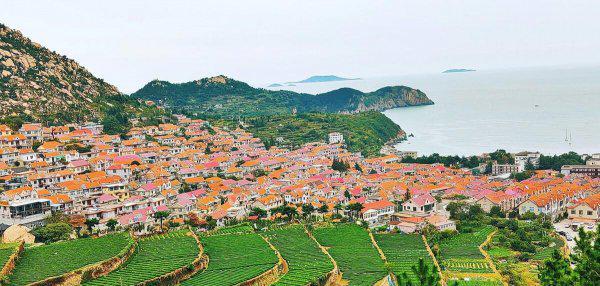 青岛哪些旅游景点免费