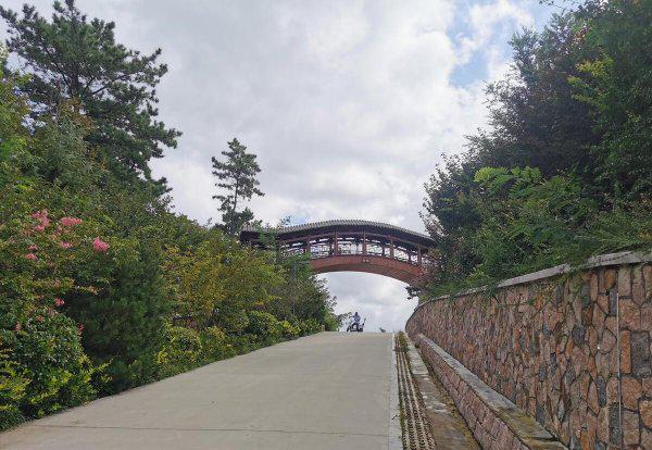 青岛哪些旅游景点免费