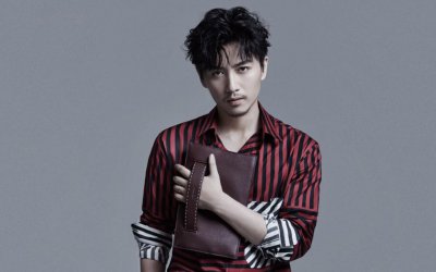 演员陈晓哪里人 明星陈晓娶了陈妍希后事业为何下滑