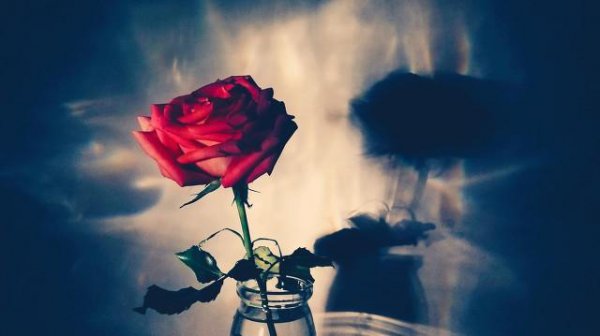 文居岸为什么放乔一成鸽子