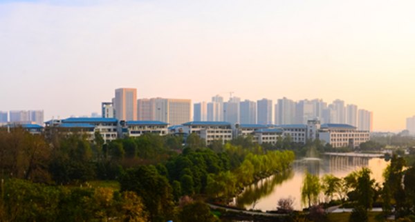 重庆大学是985还是211学校