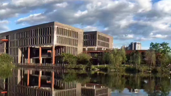 重庆大学是985还是211学校