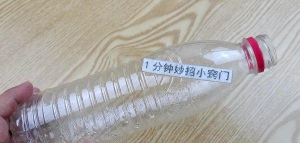 去苍蝇的最佳方法